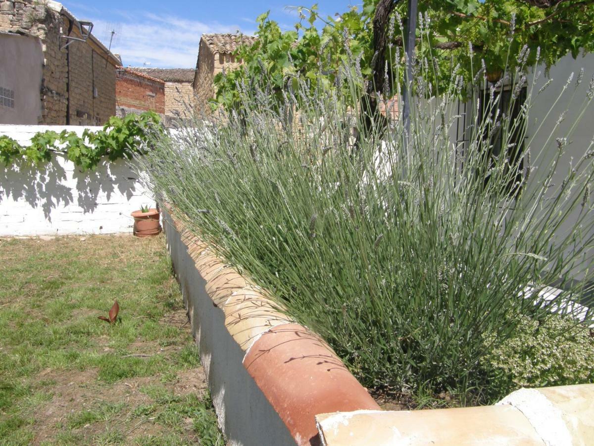 Casa Rural Carino Armananzas Dış mekan fotoğraf